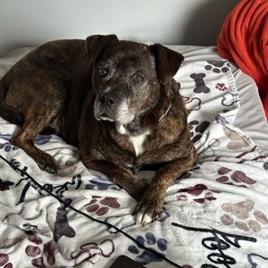 The Odd Shoppe clothing